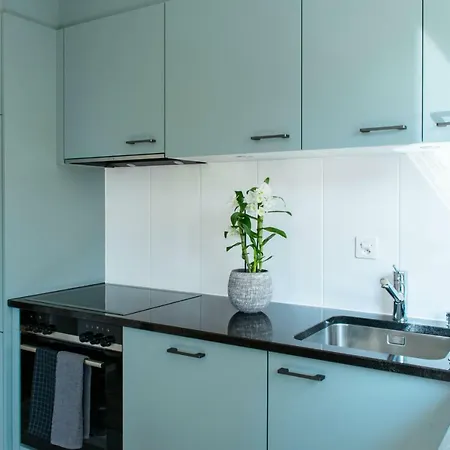 Apartamento Magnifique De 2 Chambres à Coucher Avec Vue Sur Le Lac *
